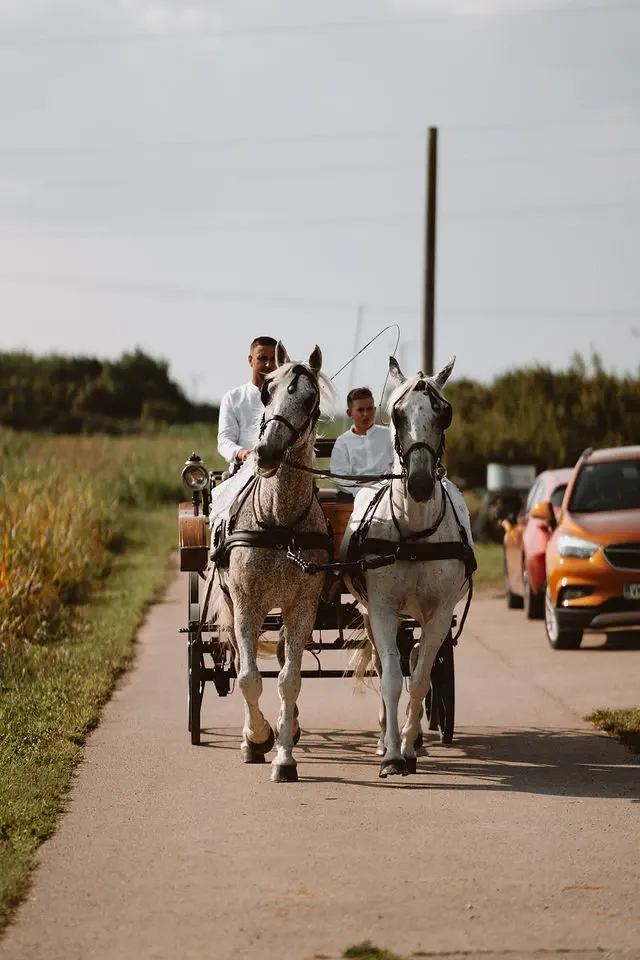 Profesionalni fotograf za svadbe i svadbenu ceremoniju u Slavoniji